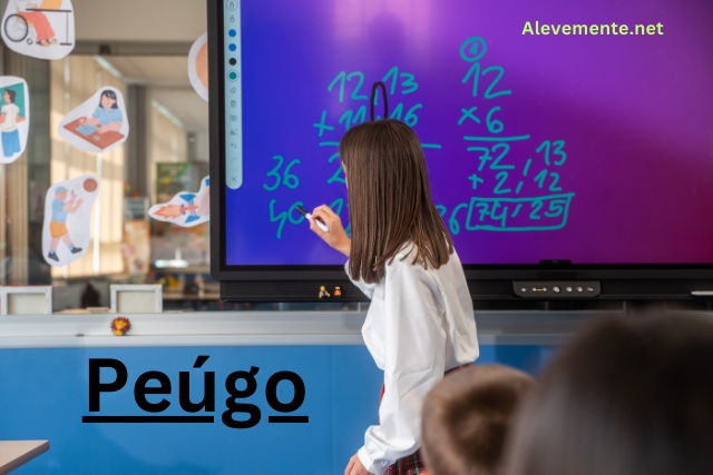 Peúgo Tried and Tested Self help Guidance