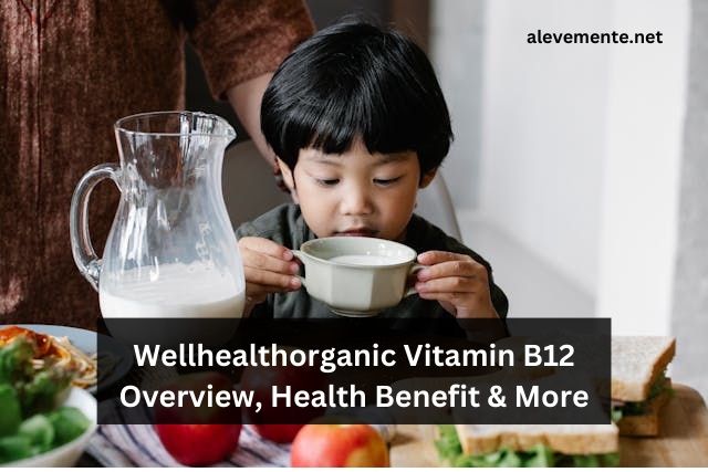 Wellhealthorganic Vitamin B12 Overview, Health Benefit & More