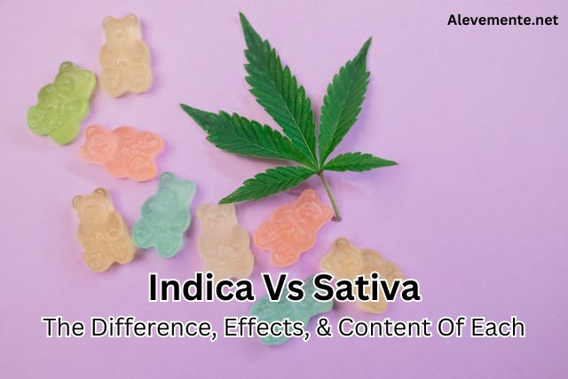 indica vs sativa